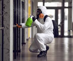 Best Industrial Mold Remediation in Excelsior, MN